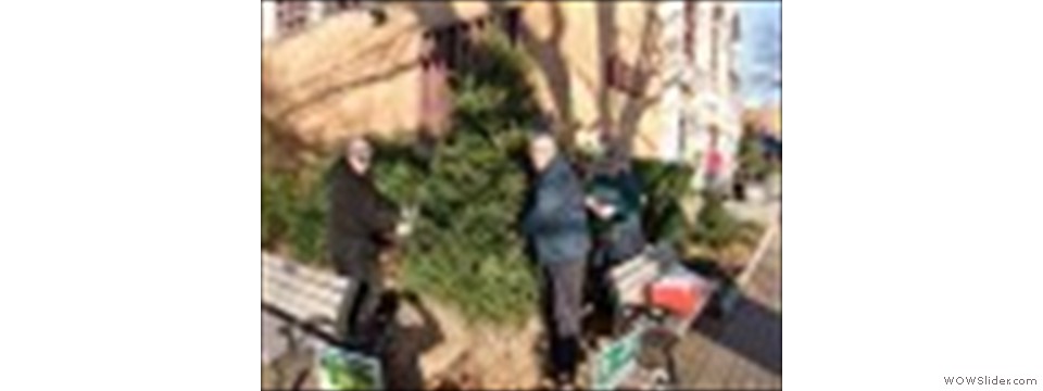 Setting up the Tree