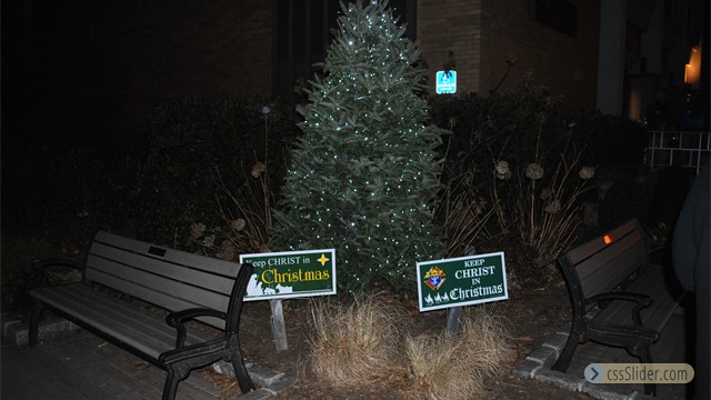 tree2012__003