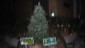 tree2012_