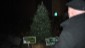 tree2012__002