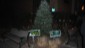 tree2012__004